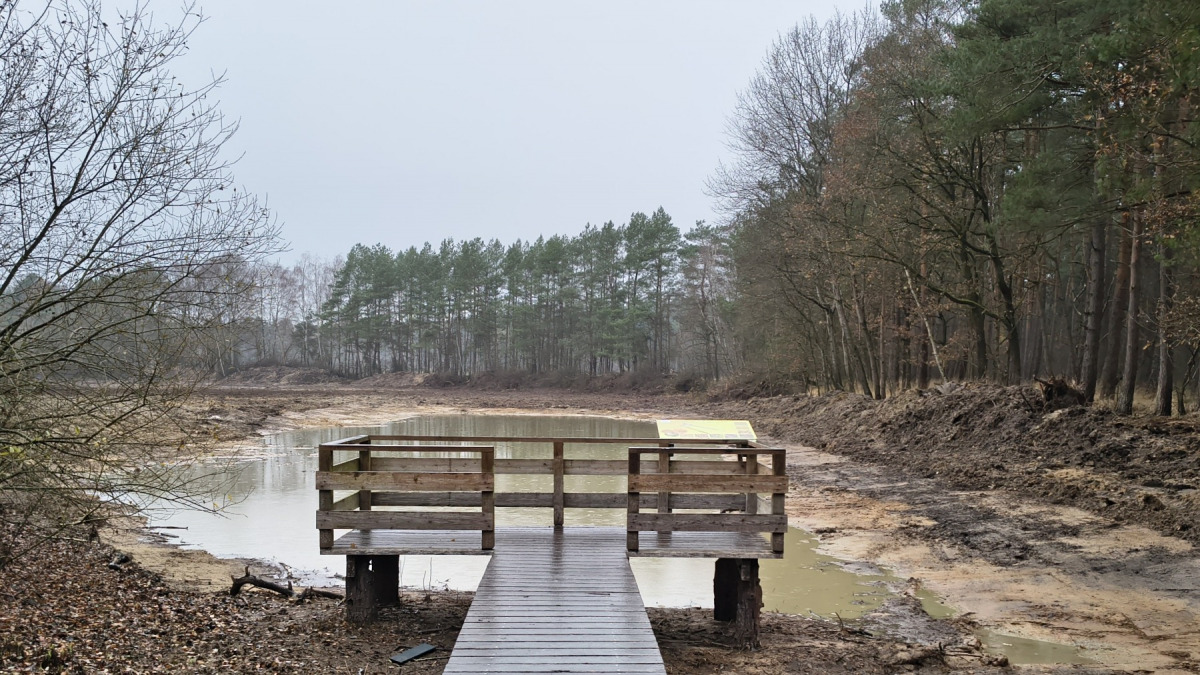 Beobachtungsplattform am Libellenbiotop