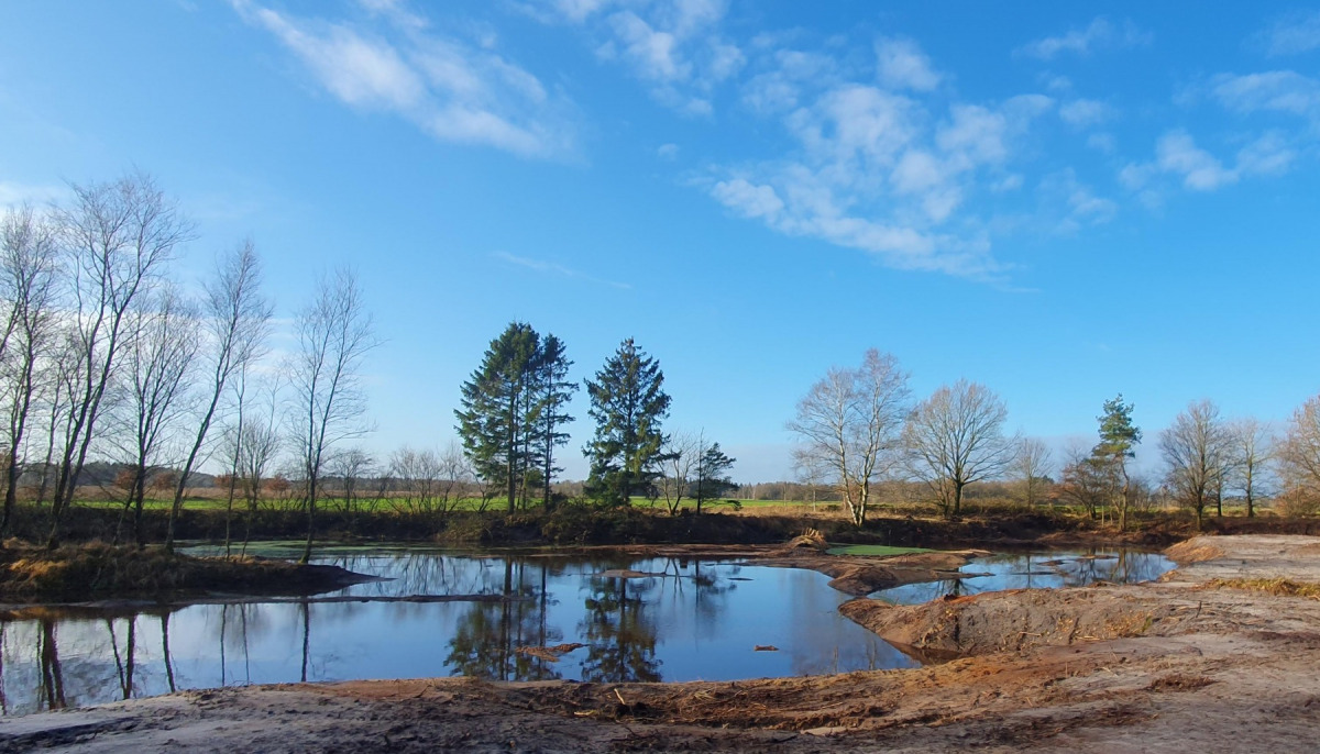 Blick in die Sandkuhle nach Umsetzung der Pflegearbeiten (1)