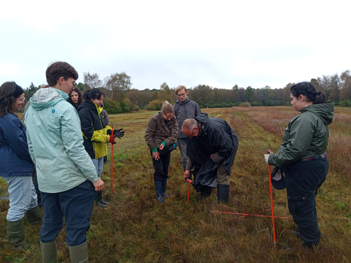 Torfm&auml;chtigkeit im Esseler Moor