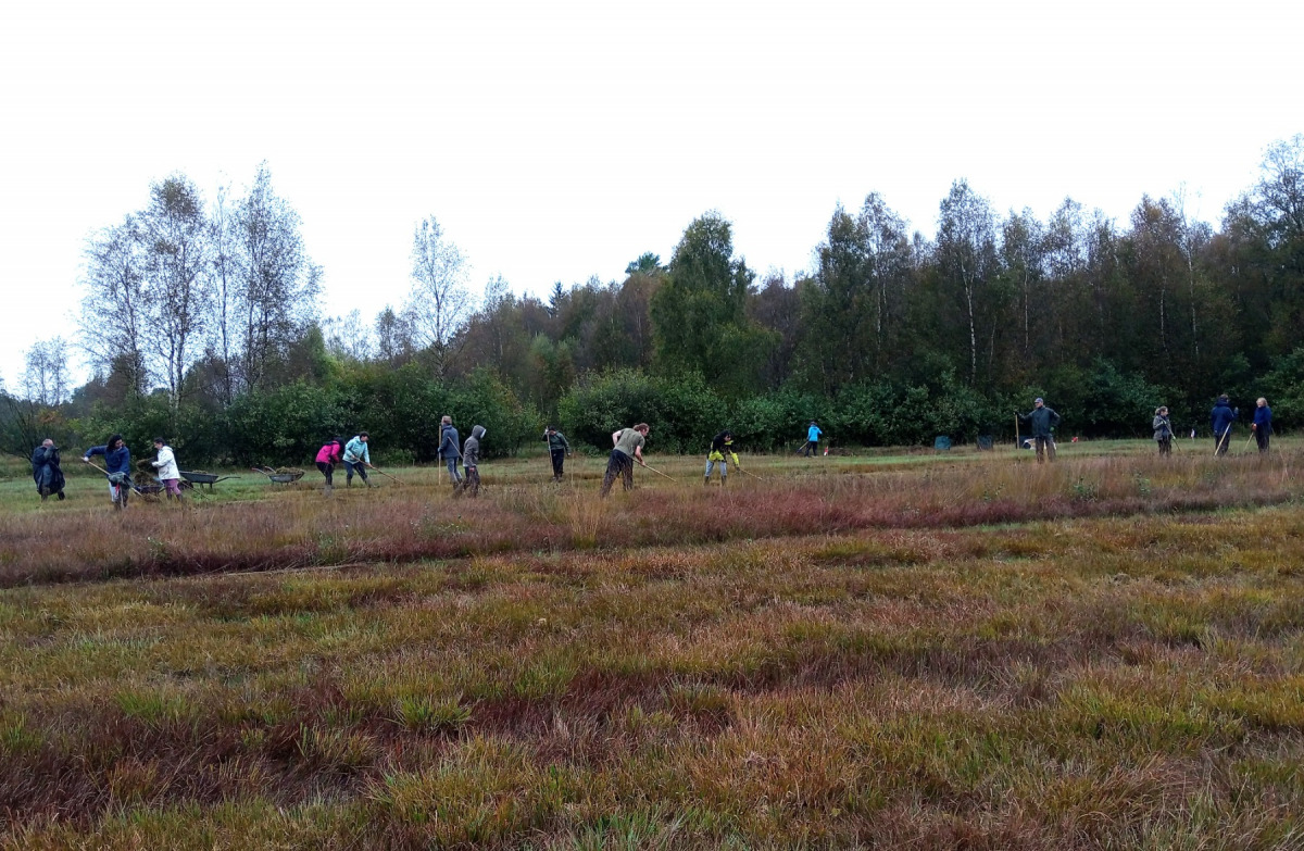 Teilnehmer des Landschaftspflegeeinsatzes