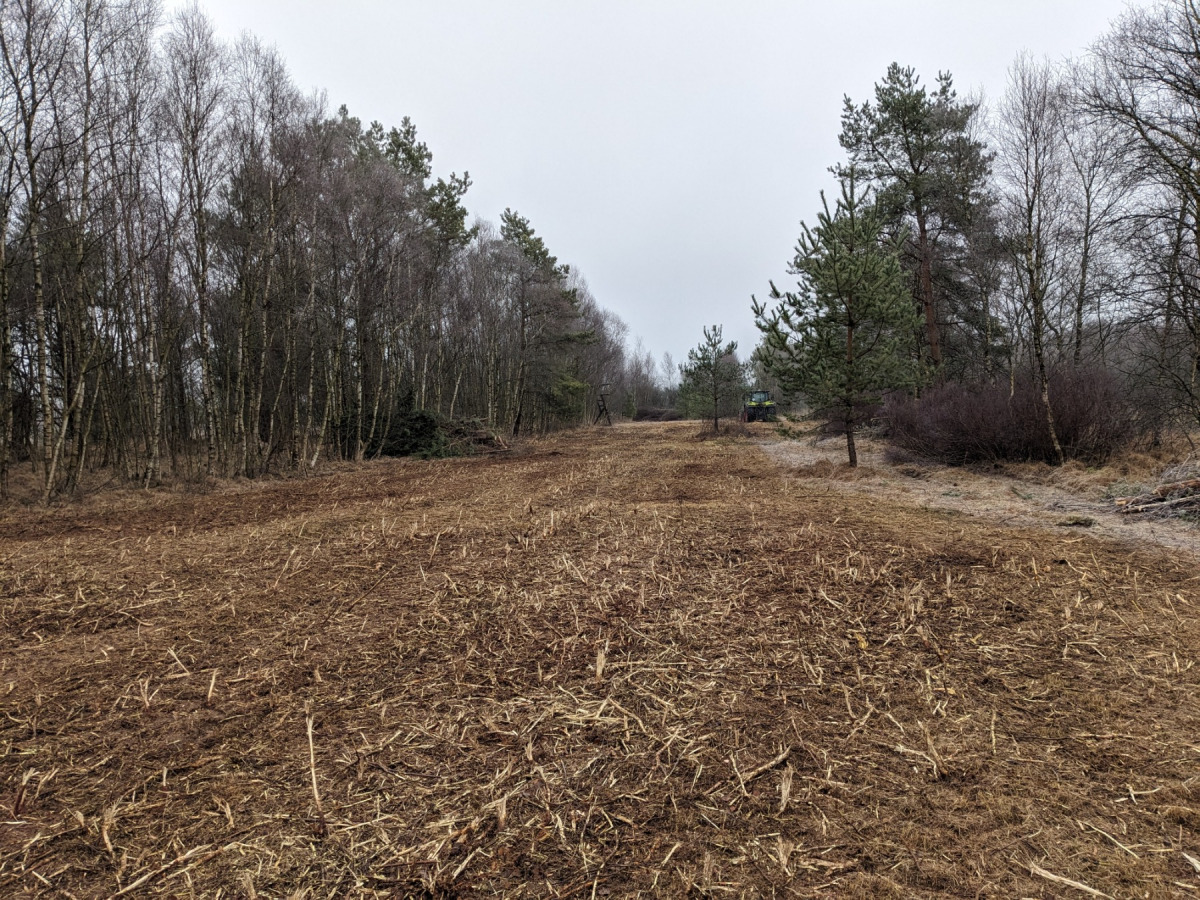 Freigestellte Projektfl&auml;che 