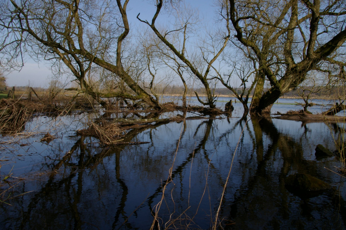 Granstedt