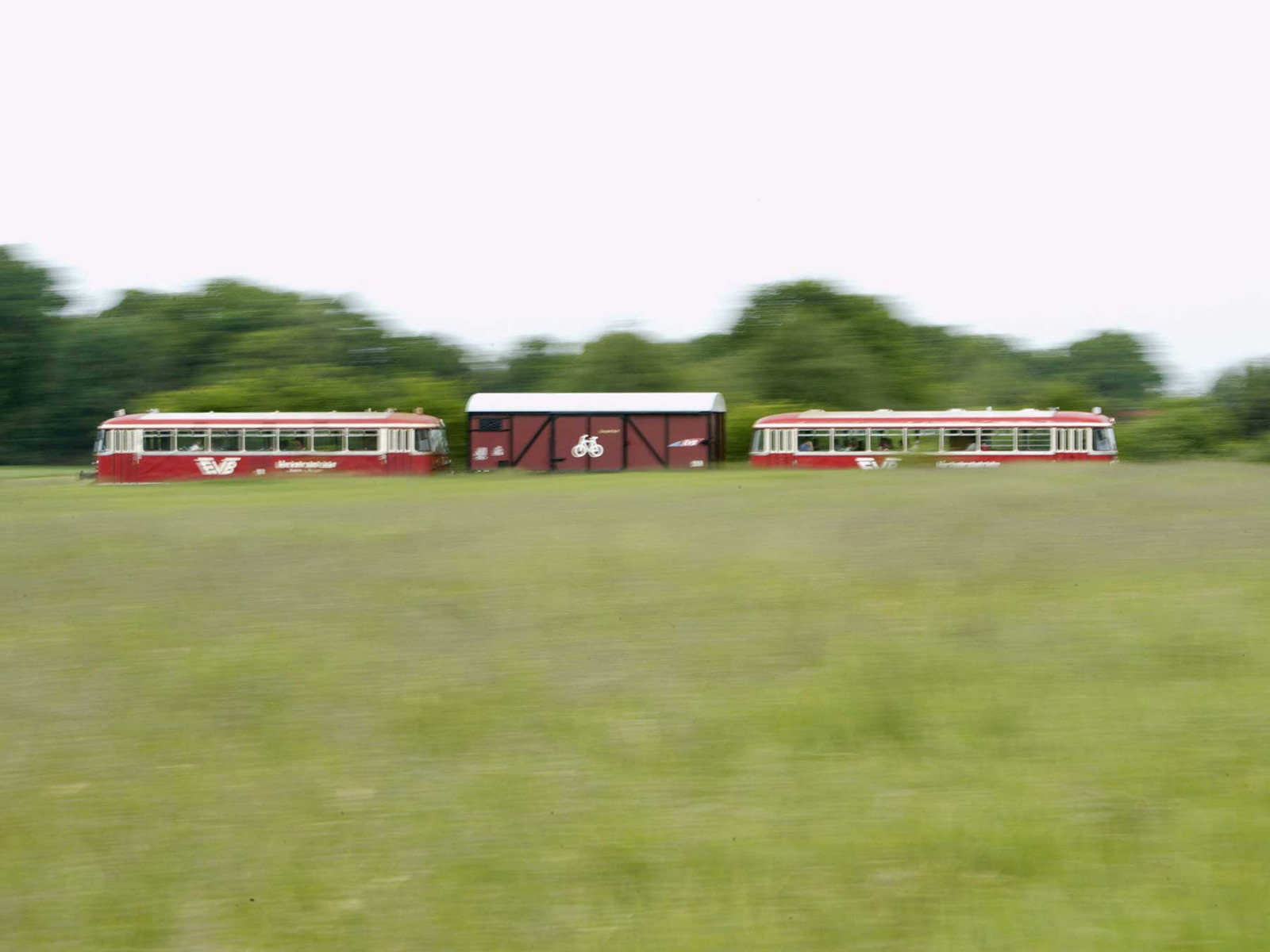 Moorexpress