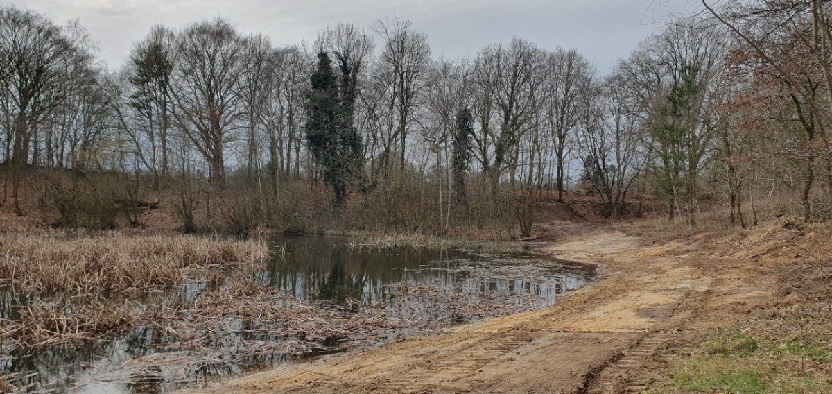 Oereler See nach Umsetzung der Optimierungsarbeiten