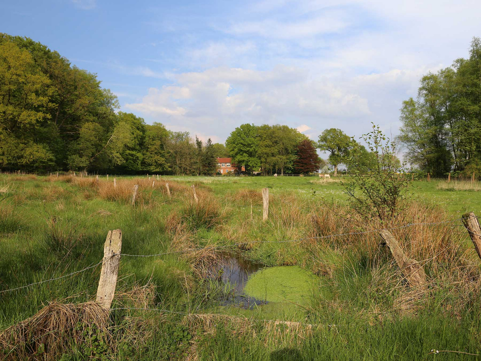 Oste-Quellgebiet