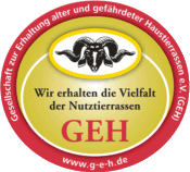 Logo GEH, © GEH Logo GEH