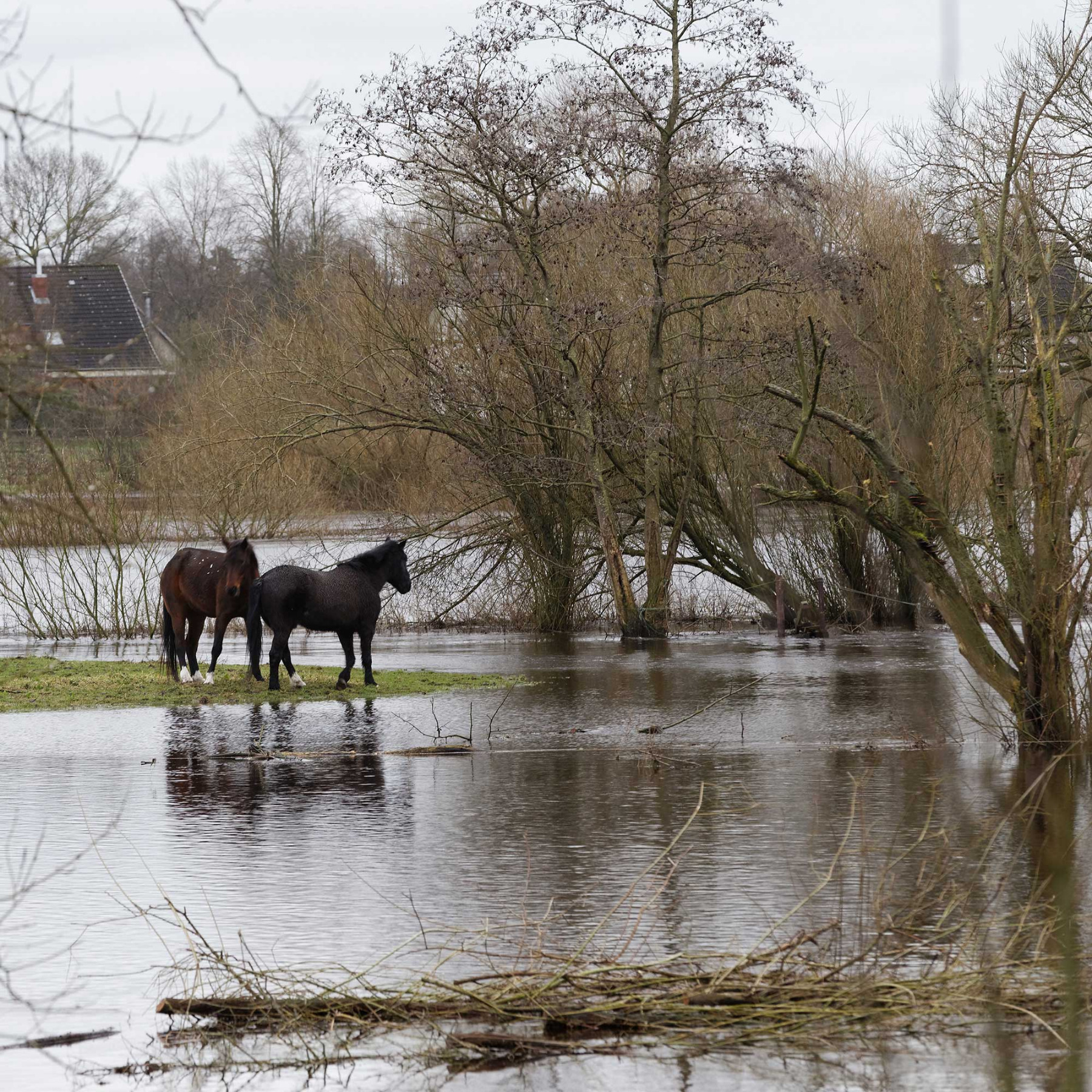 Januarhochwasser in Beverstedt
